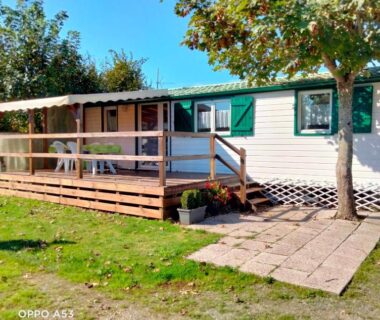 Chalet mobil-home