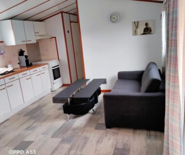 Séjour avec canapé et kitchenette dans le Chalet mobil-home