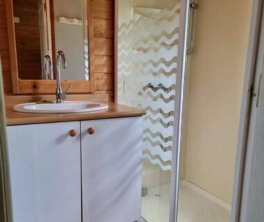 Salle de bains avec douche et lavabo dans le Chalet nature et lac