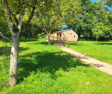 Prairie avec chalet en bois sous les arbres aux Chalets de l'Oasienne