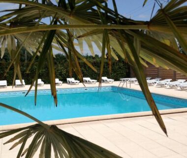 Piscine extérieure et palmiers aux Chambres d'hôtes Le Pessac
