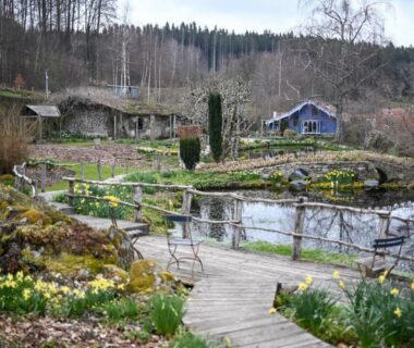 Étang avec ponton en bois et jonquilles dans le jardin du camping Chez Dom & Oli camping GINA PARK