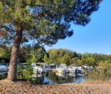 Bord d'étang avec bateaux amarrés sous un pin au camping Cordon LMP