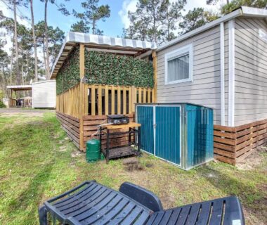 Terrasse avec transat et barbecue dans la pinède devant le mobil-home Cozy Stacaravan In Saint-Julien-En-Born