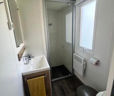 Salle de bains avec douche et lavabo dans l'hébergement Détente et nature au bord du Rhône