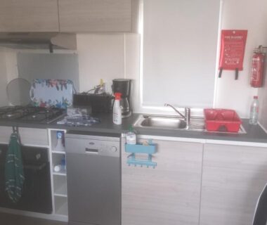 Coin kitchenette avec évier lave-vaisselle et plaque de cuisson au Domaine