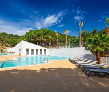 Piscine extérieure avec transats et palmiers au Domaine de Miremer