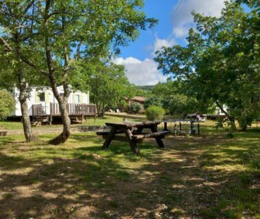 Aire de pique-nique sous chênes au Domaine de la Chêneraie