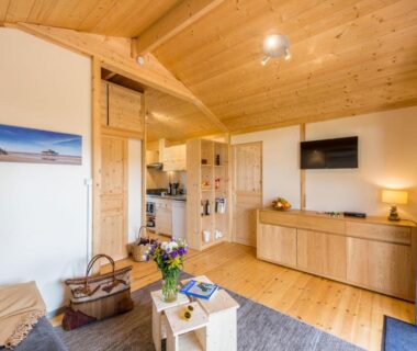 Séjour avec canapé kitchenette télévision et table dans le Domaine de la Forge