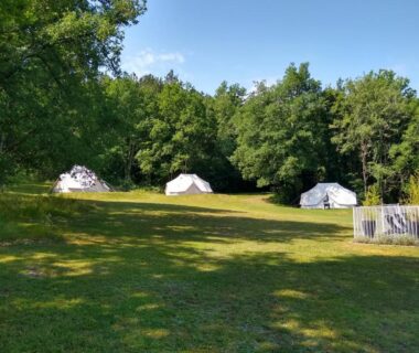 Prairie avec tentes blanches et arbres au camping Dordogne Glamping et Camping