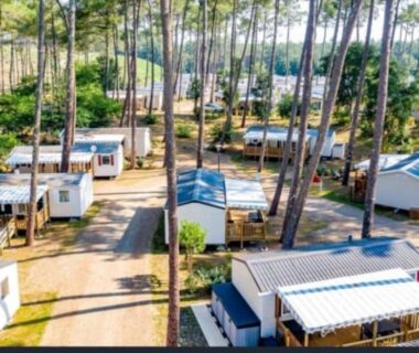 Allée de mobil-homes entre pins et piscine au camping Dunes 209