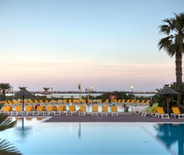 Bord de piscine avec transats et palmiers au camping EA Votre séjour 4 étoiles