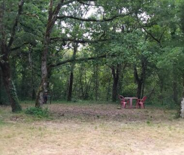 Dans la forêt table et chaises près d'un emplacement à l'EMPLACEMENT TENTE En FORET
