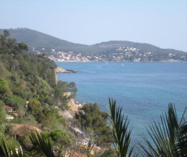 Baie et côte méditerranéenne avec palmiers au premier plan à l'Eco-Lodge Lou Pantaï