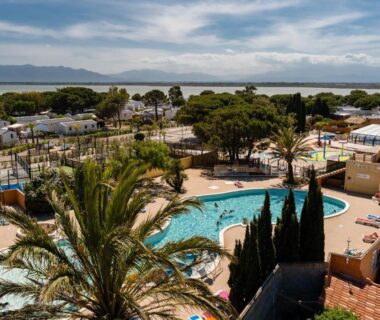 Bord de piscine avec palmiers et vue sur la mer au camping Eden 1708