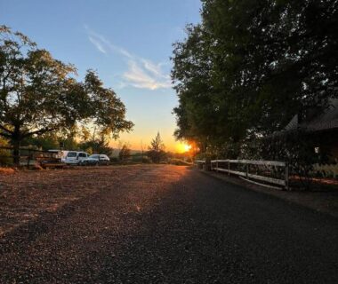 Allée ombragée au coucher du soleil avec camping cars et arbres à l'Emplacement tente camping car