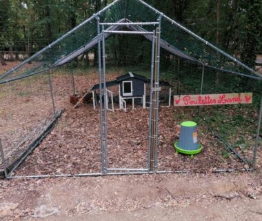 Enclos grillagé avec petit poulailler et abreuvoir à l'Emplacement tente camping car