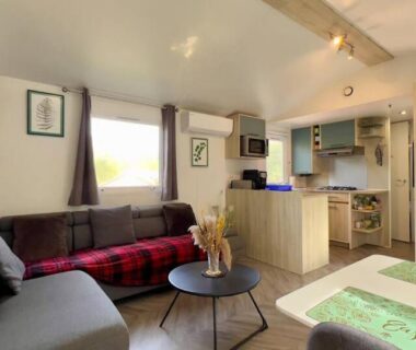 Salon avec canapé et kitchenette dans le mobil-home Erbarie43