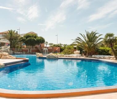 Piscine extérieure avec palmiers au camping Escapade Catalane B11 Mar Estang