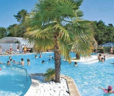 Piscine et palmiers de l'aire aquatique du camping Escapade au Ferret Mobil Home tout confort 3 Chambres