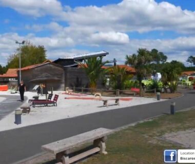 Espace piscine extérieur avec transats et palmiers à l'Évasion Lodge