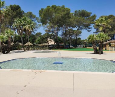 Piscine peu profonde entourée de palmiers au Domaine Évasion tout confort pour 4