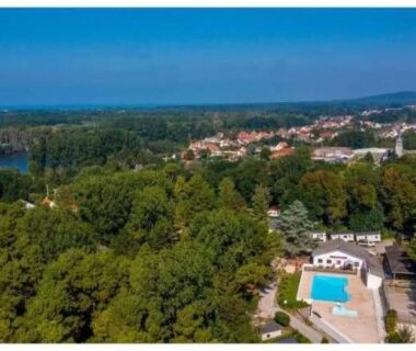 Piscine extérieure entourée d'arbres au camping Famille Peeters