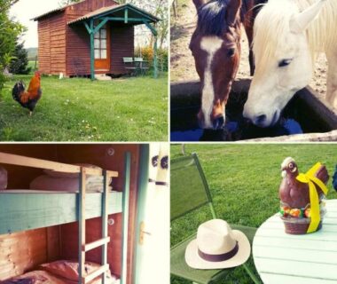 Jardin avec cabane en bois, chevaux et lits superposés à la Ferme équestre Les Chevaliers