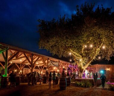 Cour extérieure éclairée avec pavillon et guirlandes au Flower Camping Au Bois des Biches