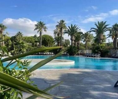 Piscine extérieure avec transats et palmiers au Grand MOBIL HOME Spatieux 40m2 - 2 Ch