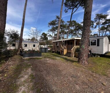 Allée et mobil-homes sous pins au Grand Mobil Home Tout Confort pour 6 personnes Camping Les Oyats 4 étoiles