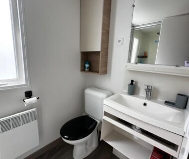 Salle de bain avec toilettes et lavabo du Grand Mobil Home Tout Confort pour 6 personnes Camping Les Oyats