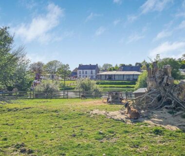 Prairie avec bassin et souches d'arbres au camping Green harmony
