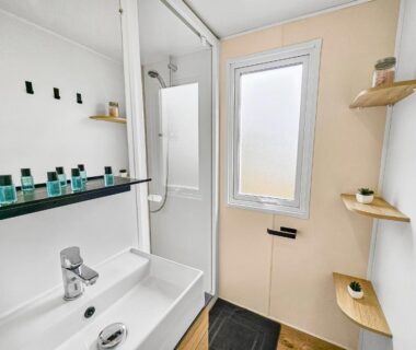 Salle de bain avec lavabo miroir et douche au Green harmony
