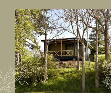 Chalet en bois sur colline entouré d'arbres au camping Hotel De Plein Air Le Chanset