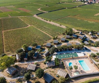 Piscine extérieure et chalets entourés de vignes au Huttopia Meursault