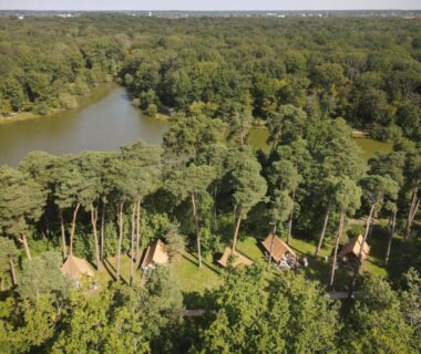 Lisière de forêt avec chalets en bois au bord du lac à Huttopia Rambouillet