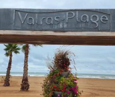 Plage de Valras-Plage avec palmiers et jardinière au camping Indivision Courbin Pebay Jérémy et Alexia