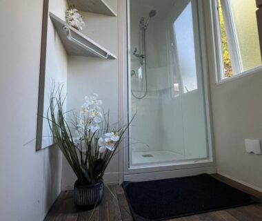 Salle de douche lumineuse avec plante dans le logement Ivry wifi, calme, piscine, sport 6 pers avec Vayny