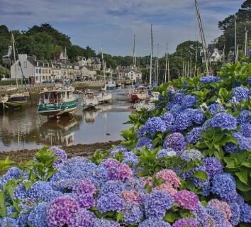 Port avec hortensias et bateaux au camping Kerlann