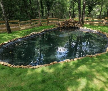 Étang naturel dans un espace boisé du camping L escale de larcher