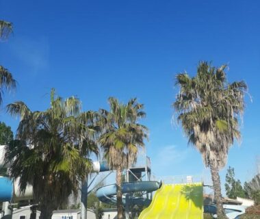 Parc aquatique avec toboggans et palmiers au camping LA CARABASSE CP90