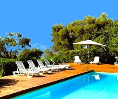 Piscine et transats entourés de pins au camping LAVATOGGIO