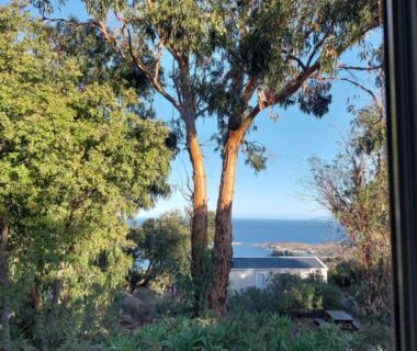 Vue sur la mer entre arbres depuis le terrain du camping LAVATOGGIO