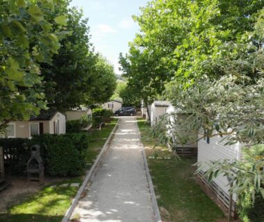 Allée centrale bordée de mobil-homes et d'arbres au camping Le Casque Roi