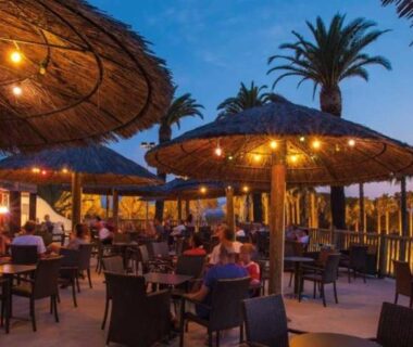 Terrasse extérieure éclairée avec tables et palmiers au camping La Baume 515