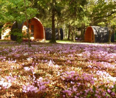 La Rossignolerie – POD Cabanes des châteaux