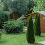 Chalets en bois dans un jardin arboré au camping La Valière