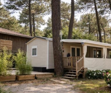 La cabane des pins