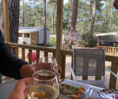 Terrasse couverte avec table dressée et verre de vin à La cabane des pins